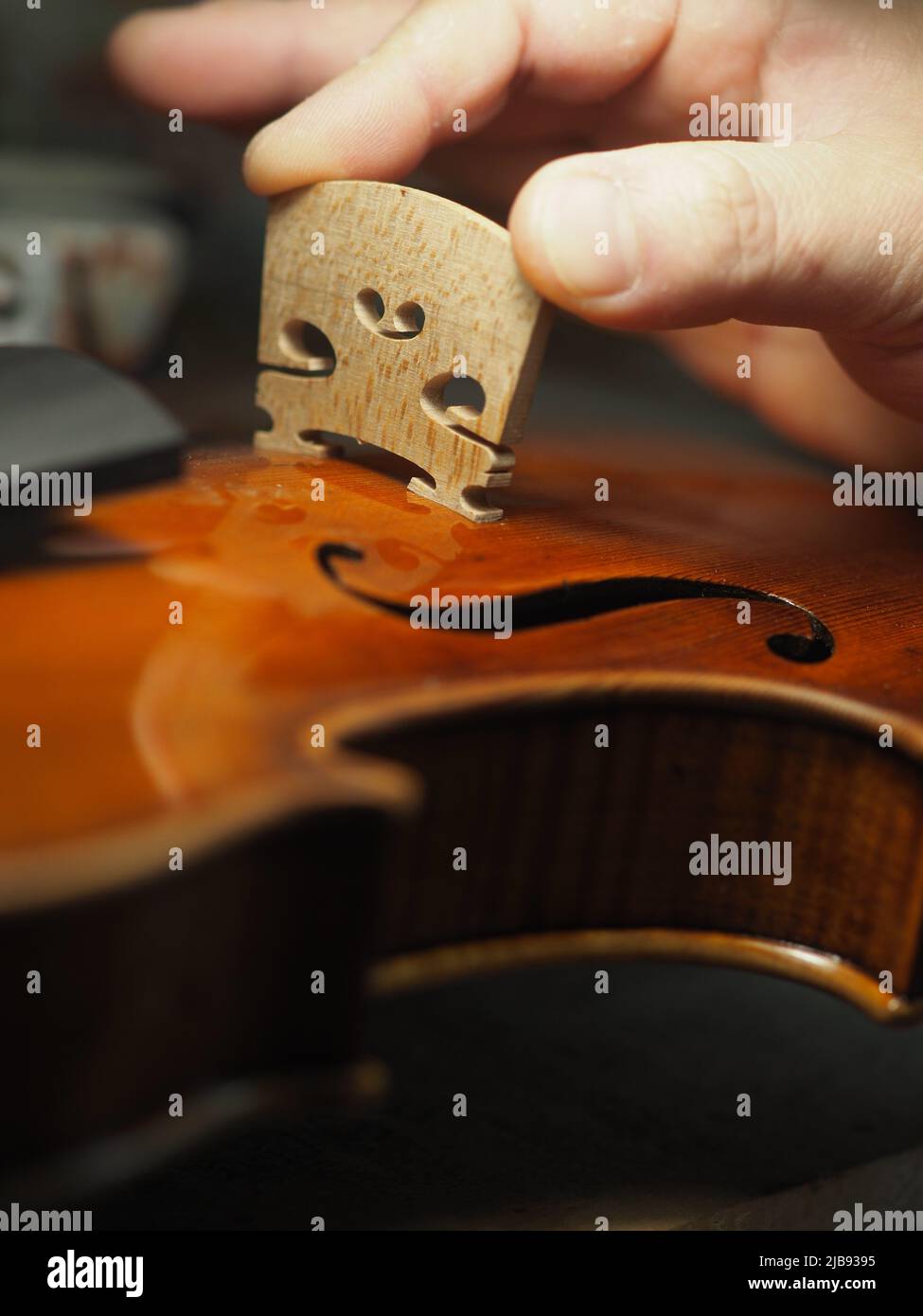 Cello Bridge Placement