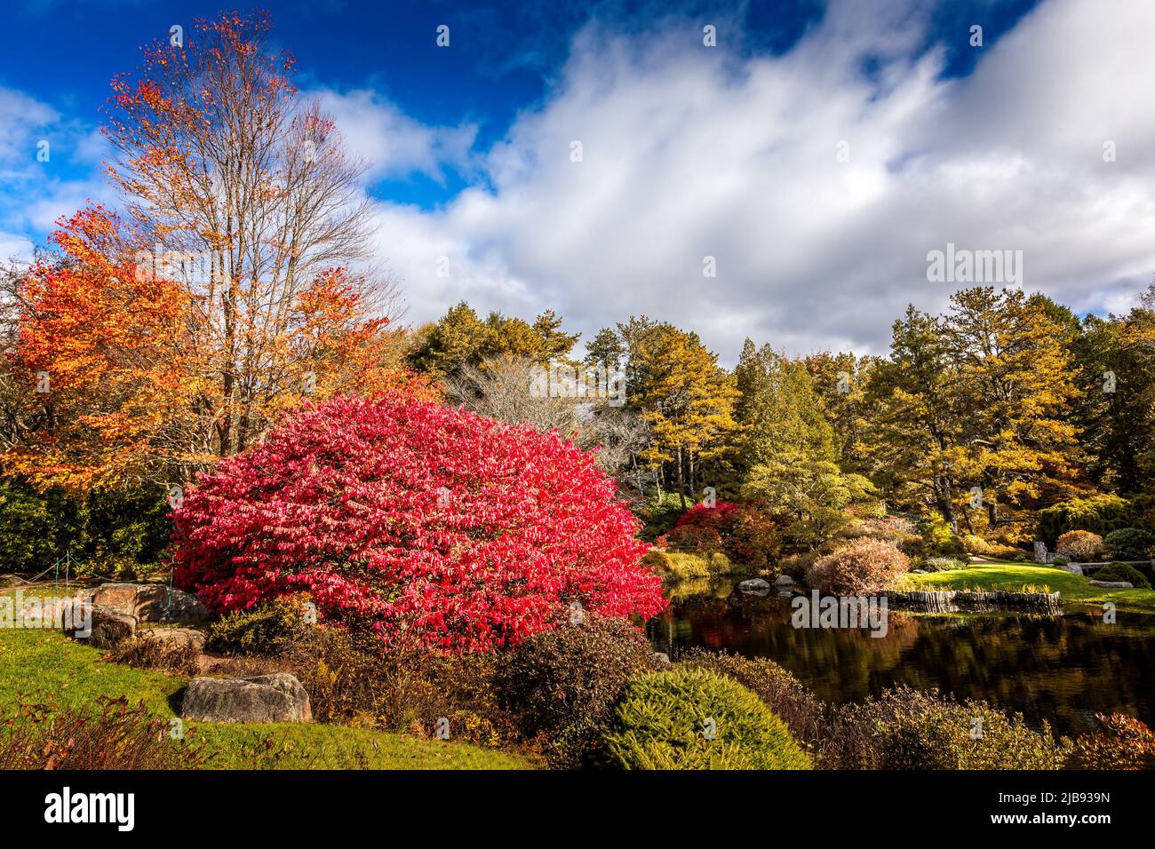 Idyllic liitle pond with colorful changing leaves in fall, New England Stock Photo