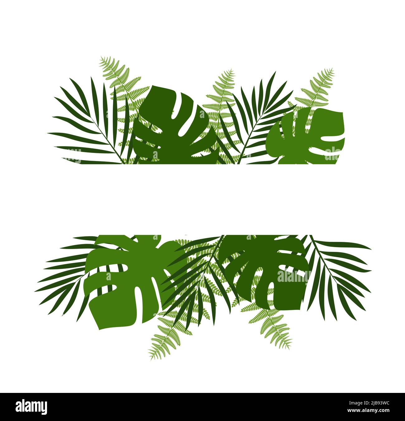 Green summer tropical background with exotic palm leaves and plants ...