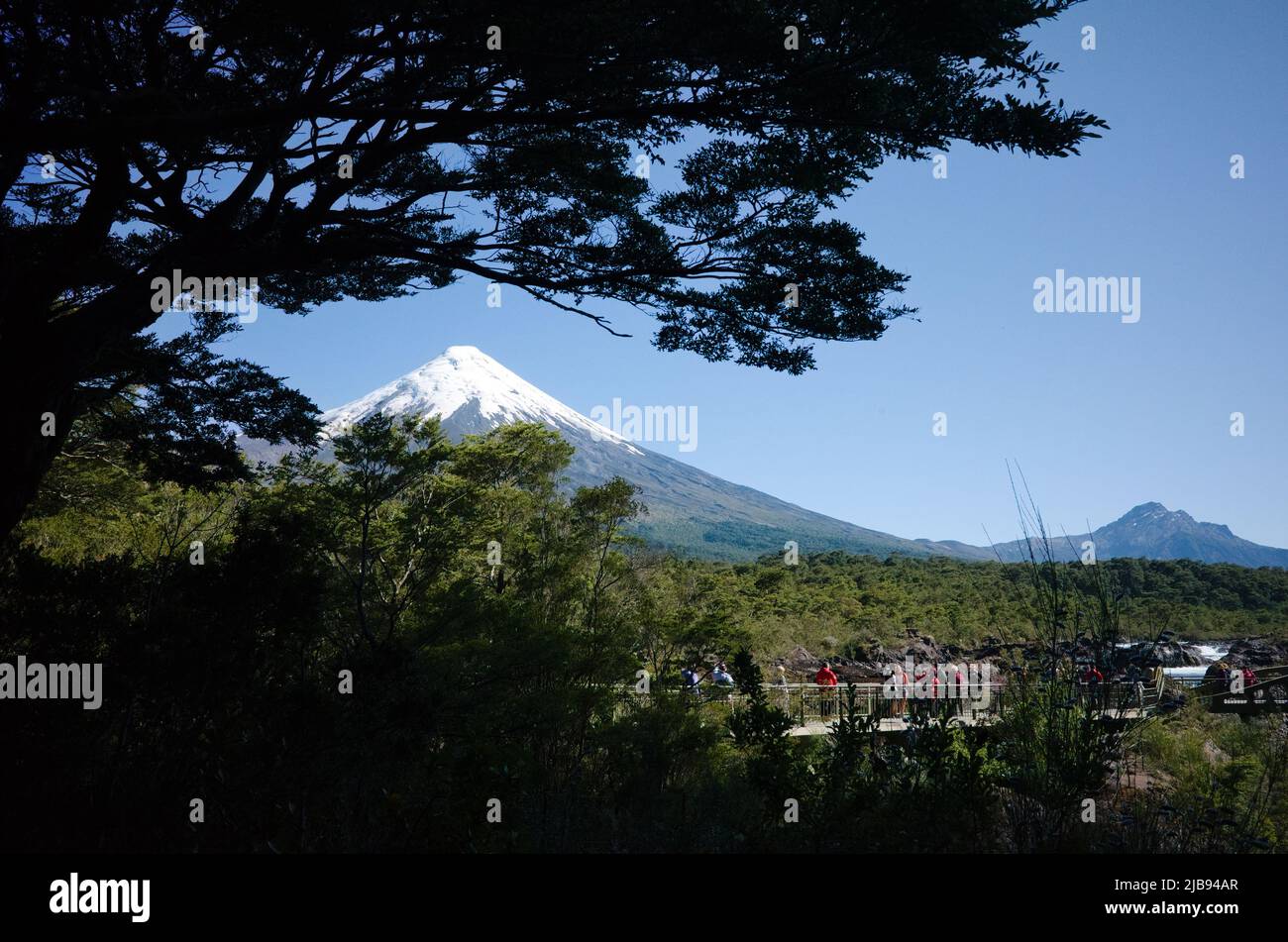 Puerto Varas, Chile - February, 2020: View of snow-covered peak of Osorno Volcano through trees branches from observation deck near Saltos de Petrohue Stock Photo