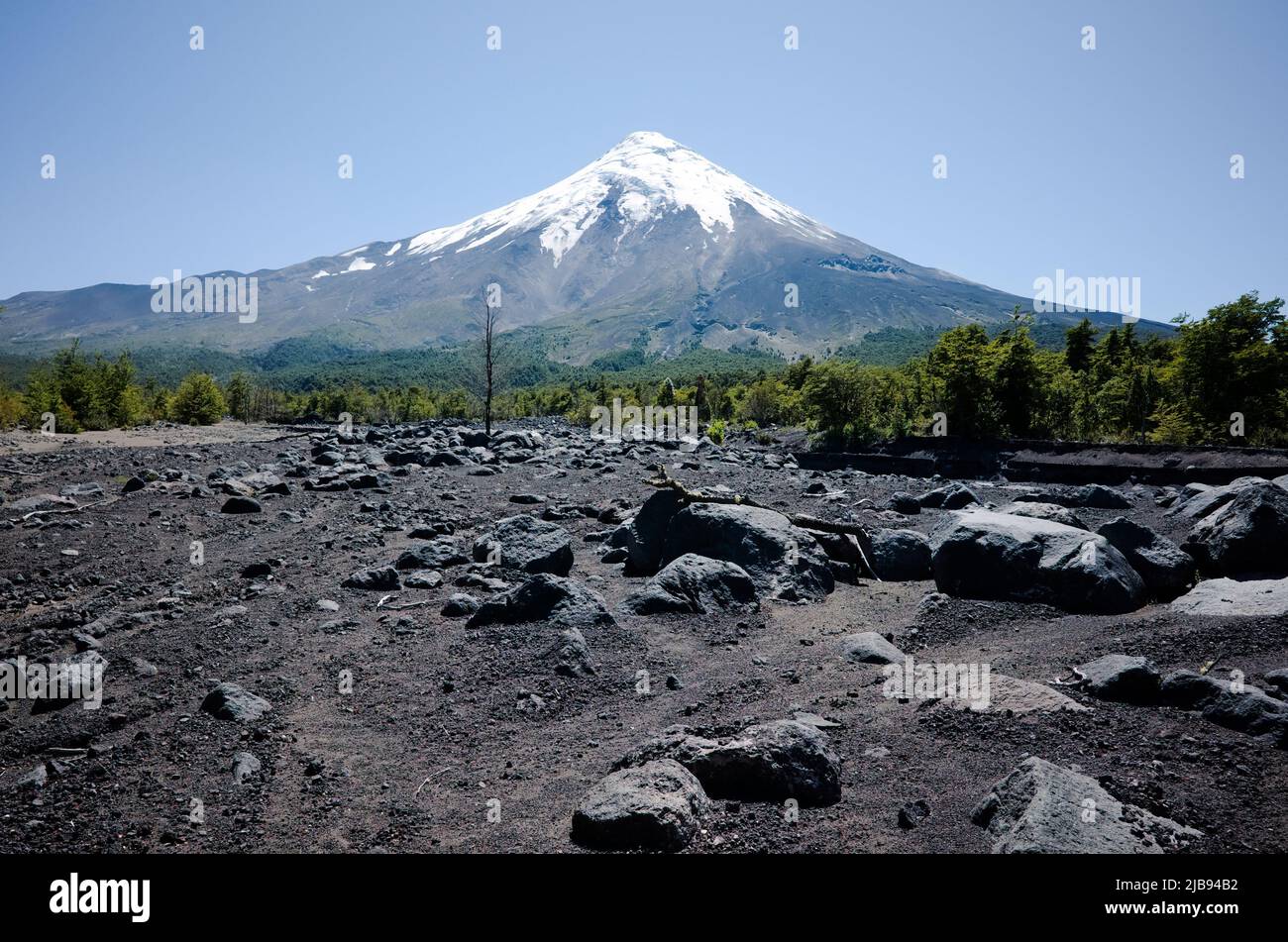 Volcanic landscape with black ground and green forest at foot of Osorno Volcano, Los Lagos province, Chile.  Volcano with a snow-capped peak Stock Photo