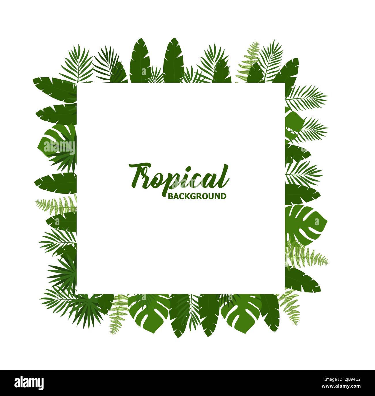 Green summer tropical background with exotic palm leaves and plants ...