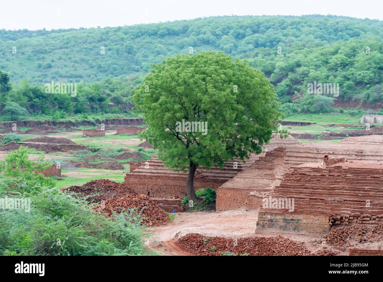 Bricks making place in India. Stock Photo