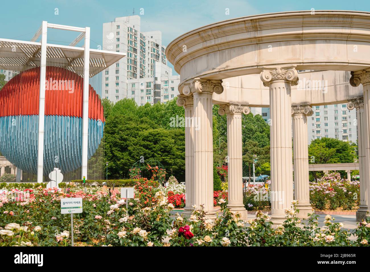 Seoul, Korea - June 3, 2022 : Olympic park rose garden Stock Photo