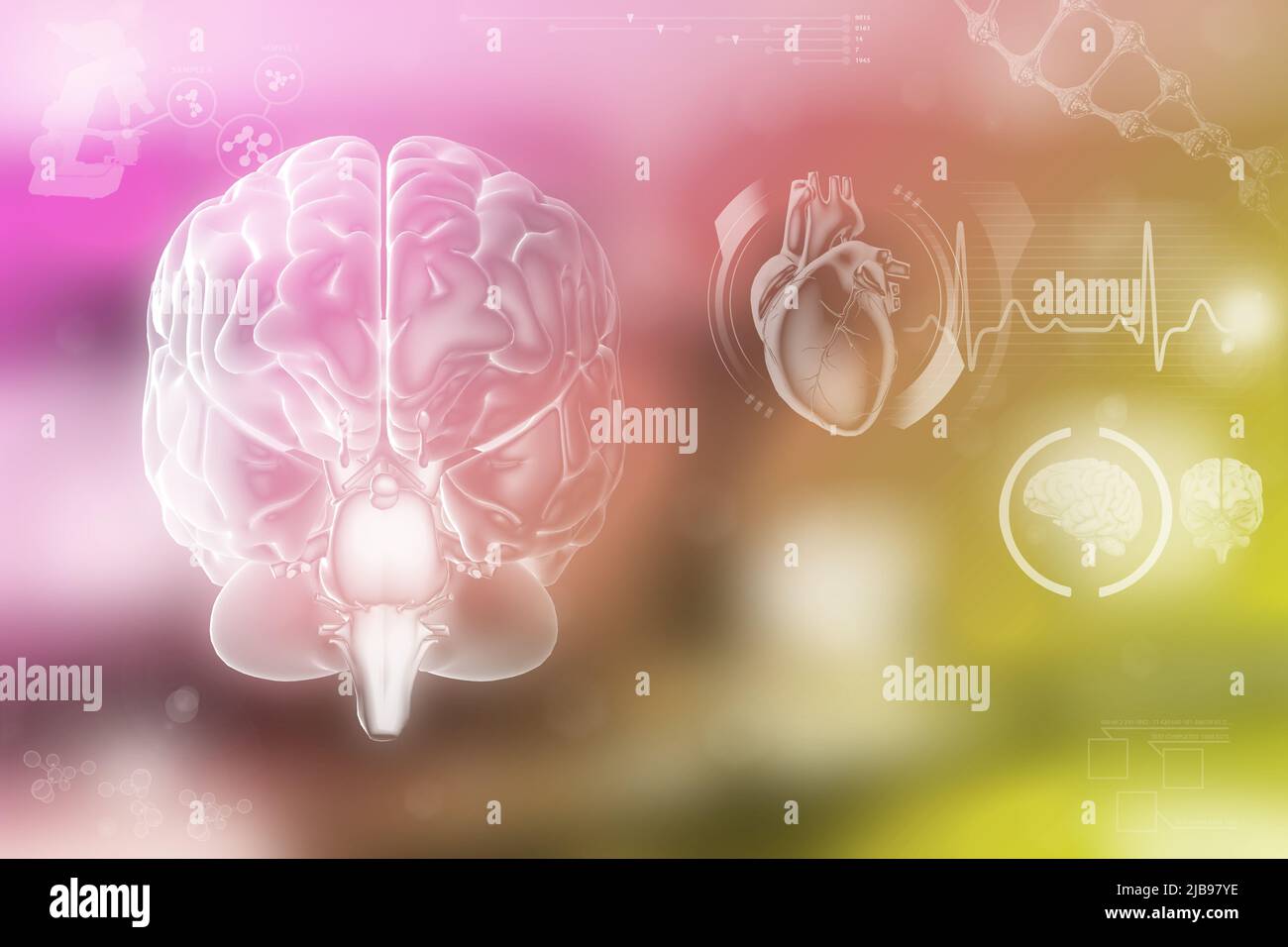 Human brain, memory analyzing concept - very detailed hi-tech texture ...