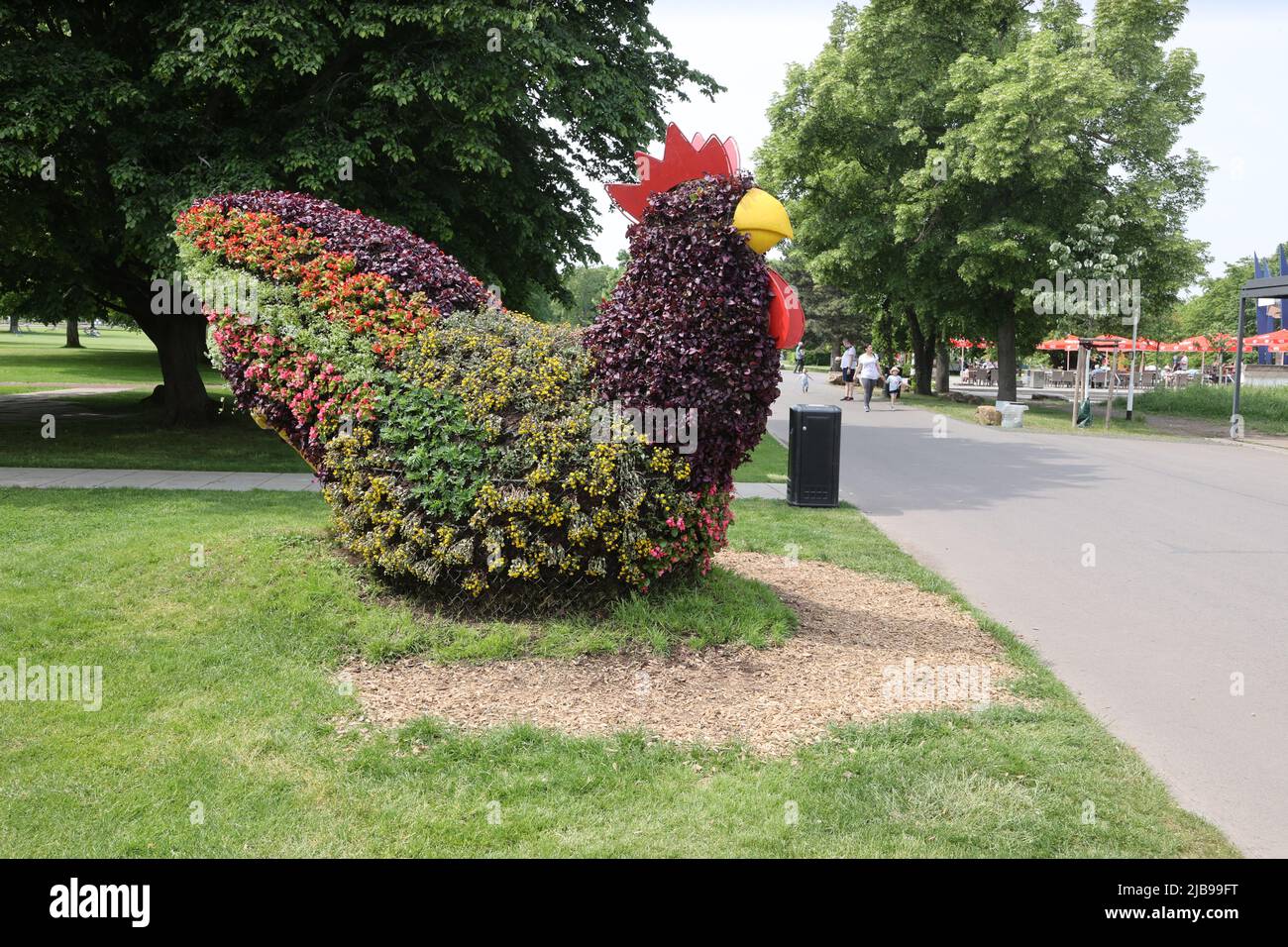 Erfurt, Germany. 04th June, 2022. A raised bed in the shape of a rooster stands on the grounds of the Erfurt Garden Show (ega) in cloudy weather. Also over the Whitsun holidays the weather is supposed to become rather changeable but with warm temperatures. Credit: Bodo Schackow/dpa/Alamy Live News Stock Photo