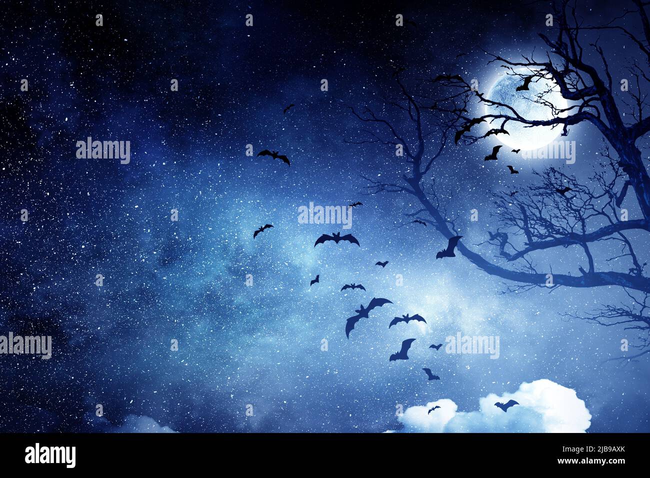 Scary night image mixed media hi-res stock photography and images - Alamy