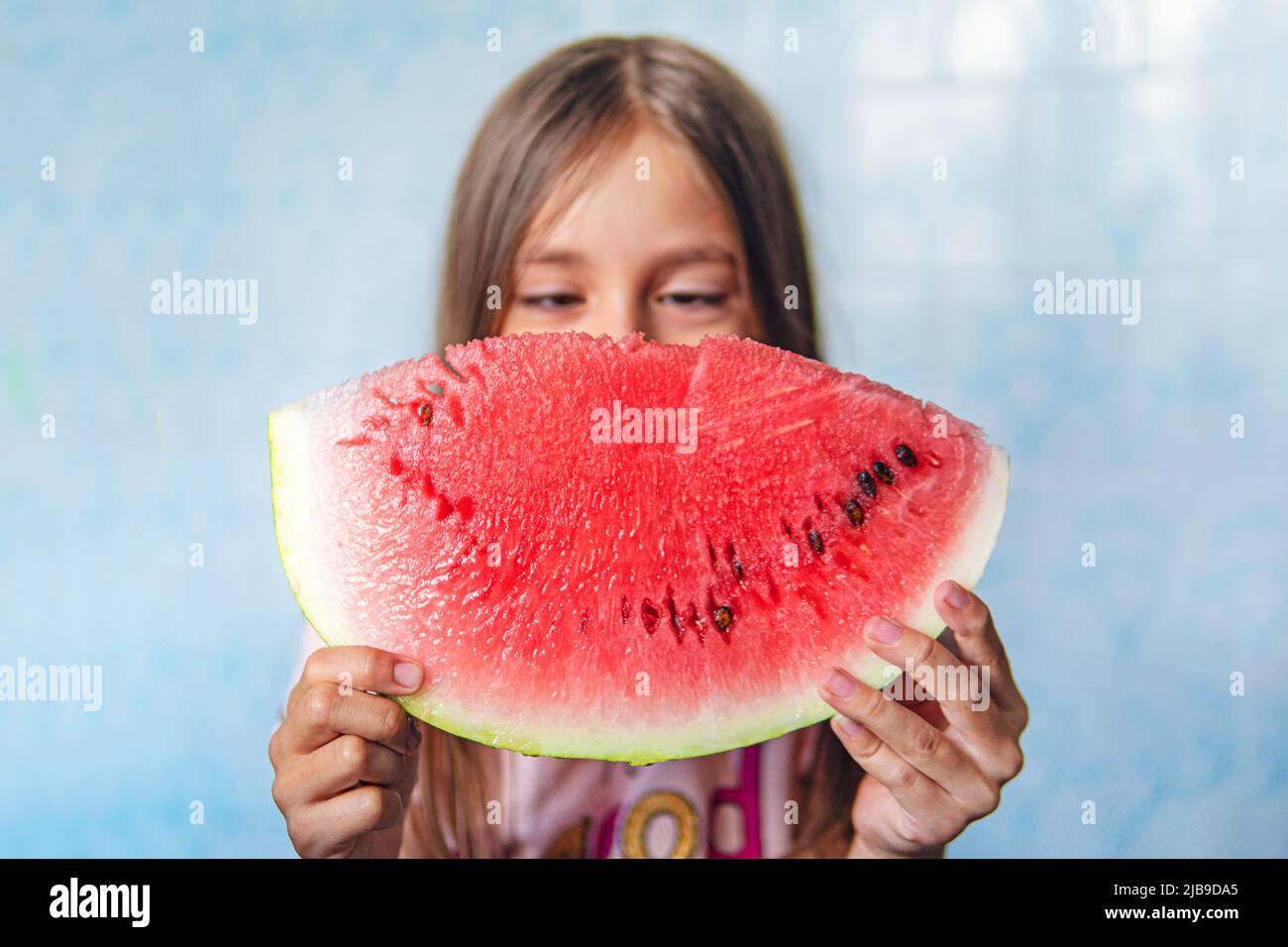 8 years old child eating watermelon at home. A large piece of ripe red watermelon in the hands of a little girl on a blue background. Stock Photo