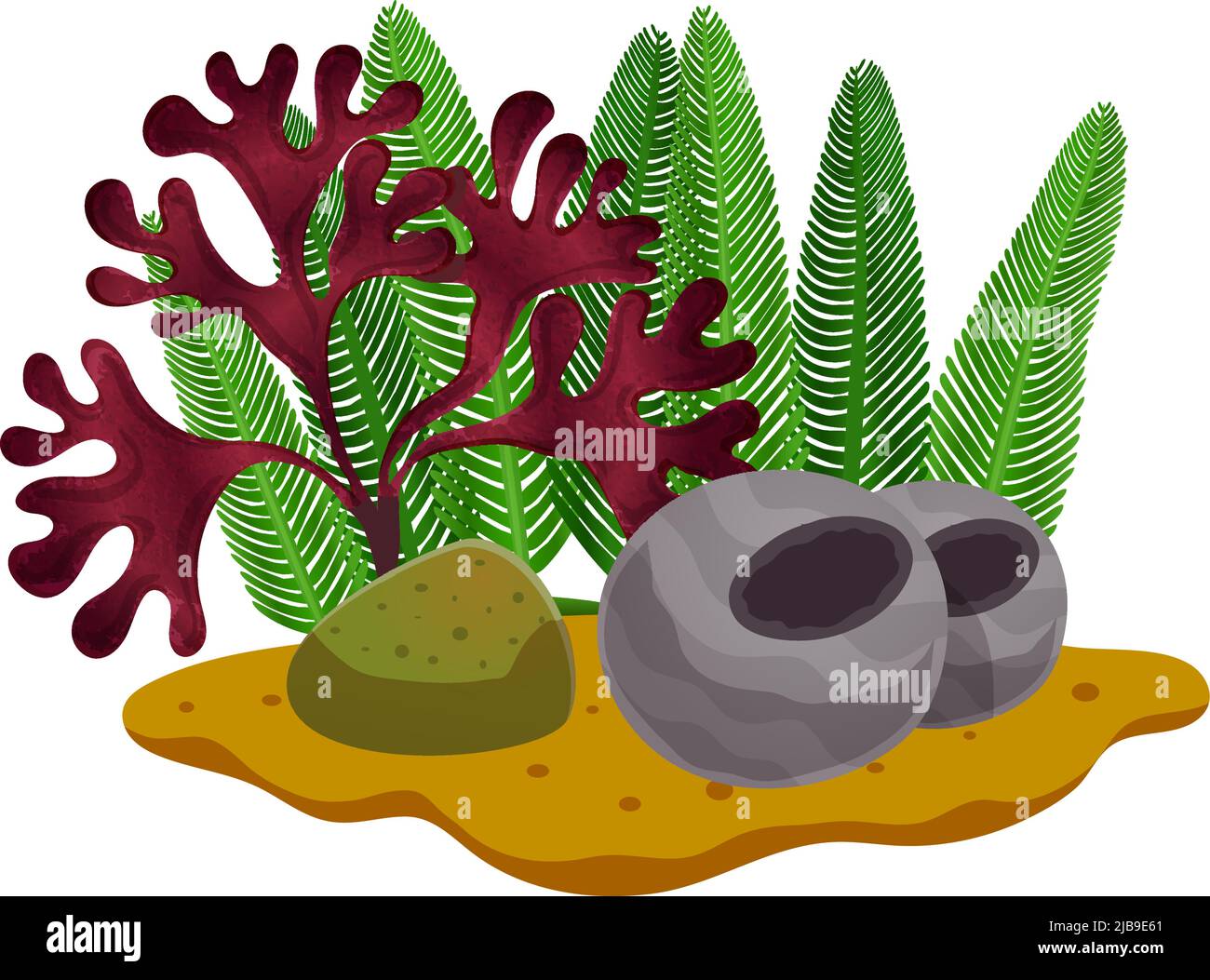 Colorful seaweeds and stones on sea bottom or in aquarium flat vector illustration Stock Vector