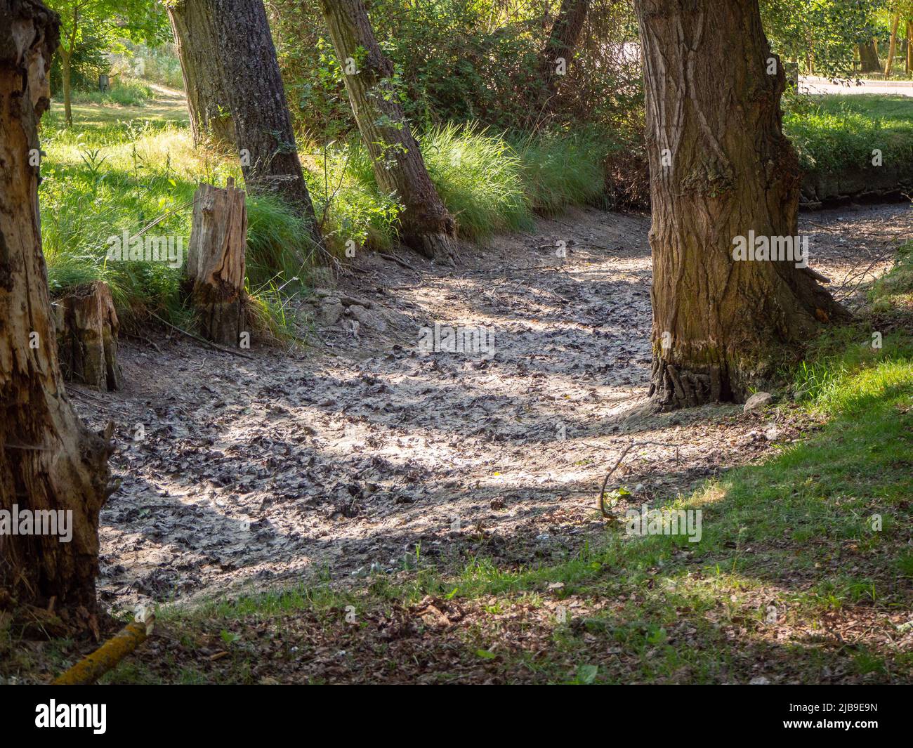 Image of the consequence of climate change on water. Concept of climate change. Stock Photo