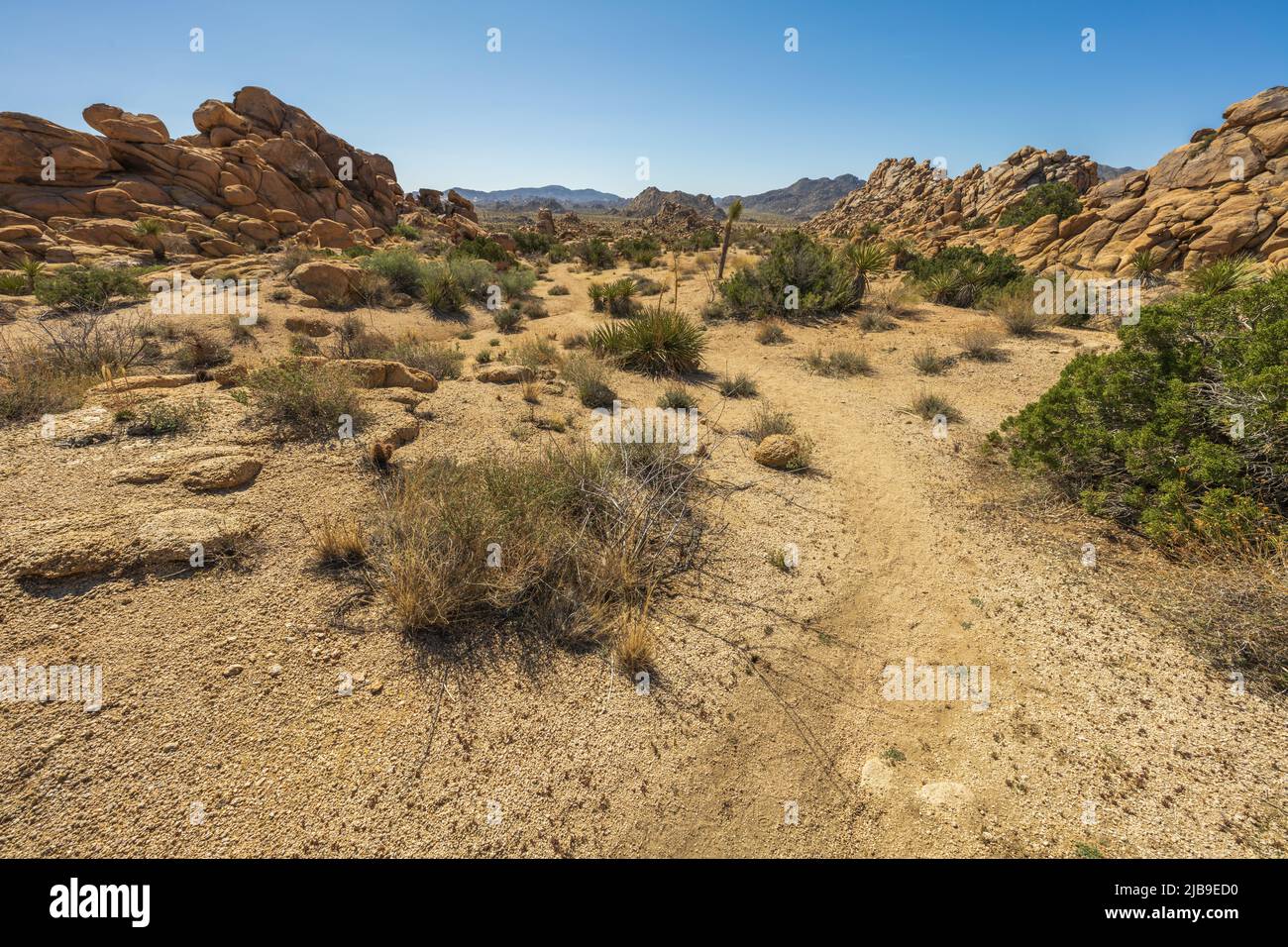 hiking the maze loop in joshua tree national park in california, usa