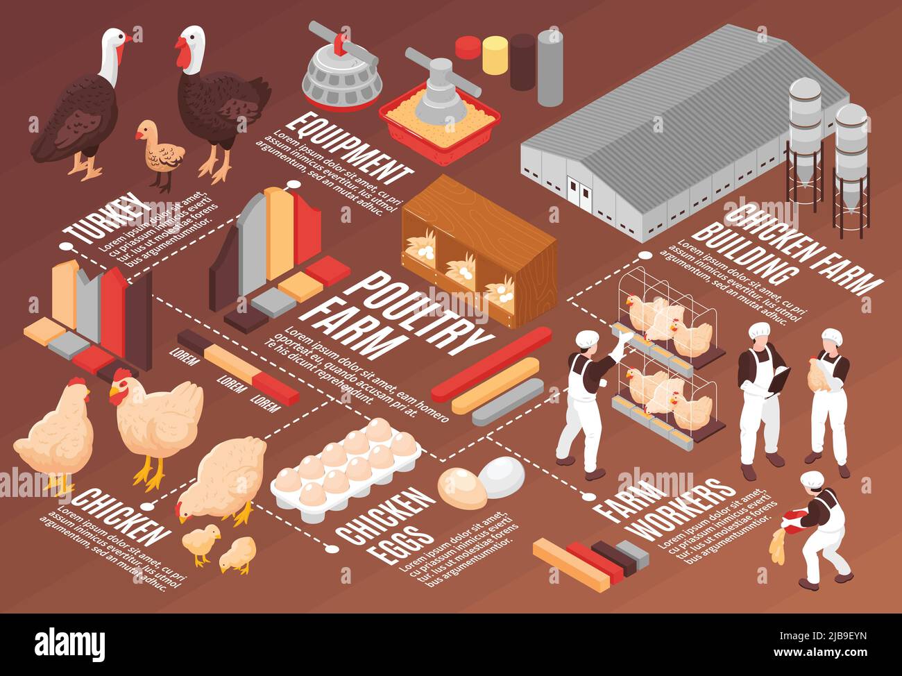 Chicken poultry farm isometric flowchart poster with meat eggs