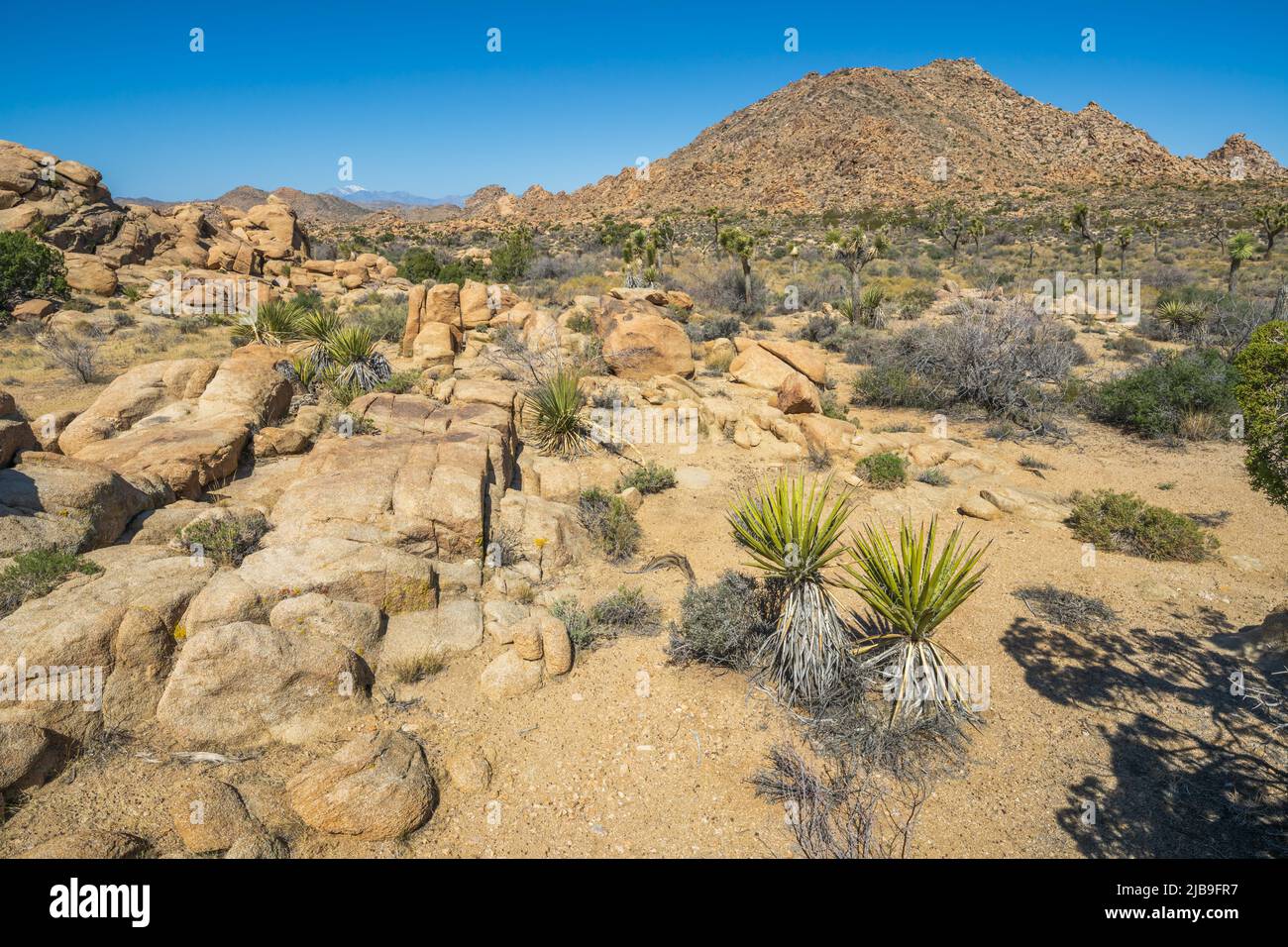 hiking the maze loop in joshua tree national park in california, usa