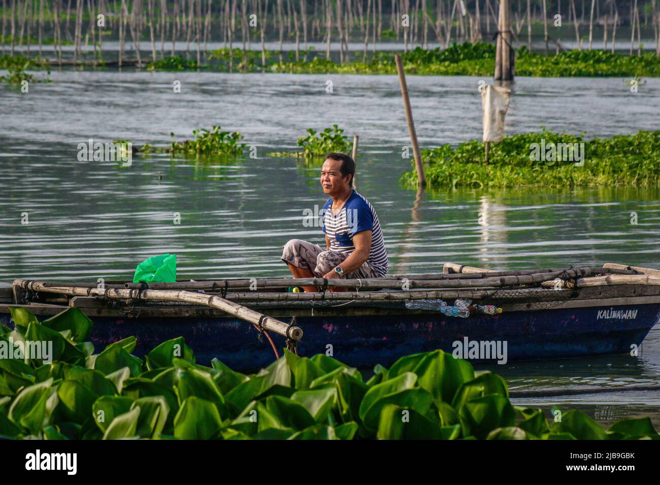 A fisherman rows his small boat between floating water hyacinths. Laguna Lake is the largest lake in the Philippines, covering a surface of 900 square kilometers or equivalent to 90,000 hectares. Its water runs from Laguna Province all the way to the Province of Rizal, the southern part of Luzon. The lake provides resources like transportation, recreation, livelihood, and most importantly food for the surrounding communities. Laguna Lake is classified as Class C freshwater which has the capability to grow fish and other aquatic resources. Some watershed near Metro Manila classified as Class D Stock Photo
