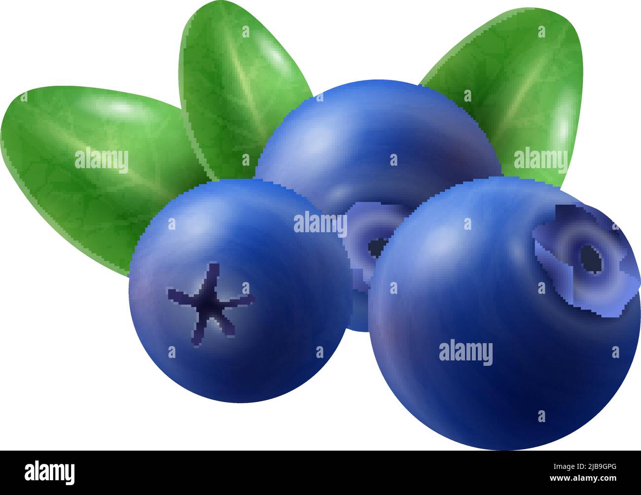 Realistic berries composition with isolated image of blueberry with