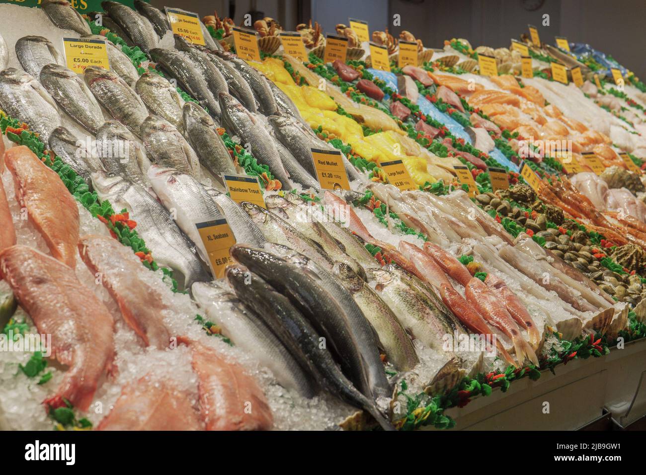 Fresh fish on ice at a fishmongers counter in the fish market in Leeds. Stock Photo
