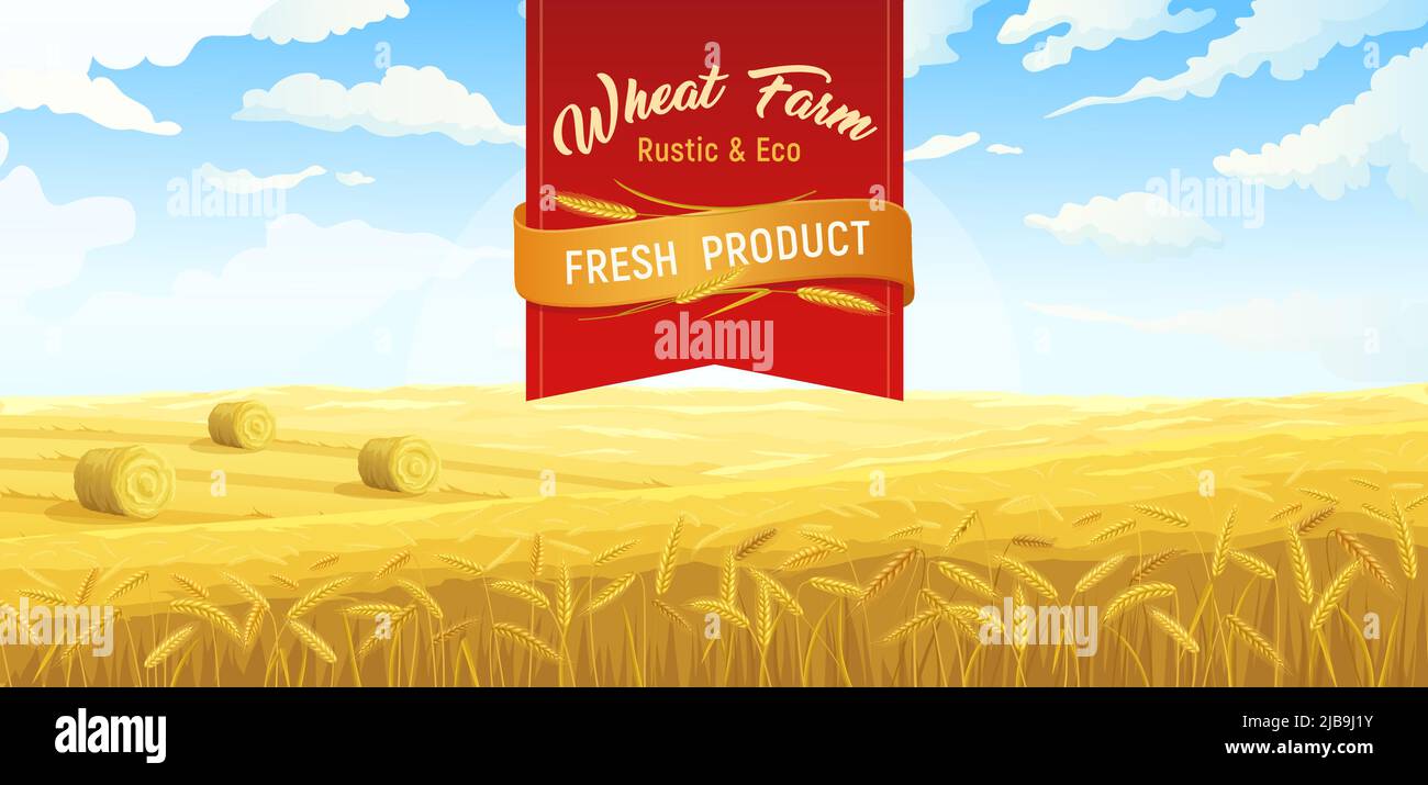 Farm scene rural fields wheat poster with red ribbon ornate text and outdoor scenery with field vector illustration Stock Vector