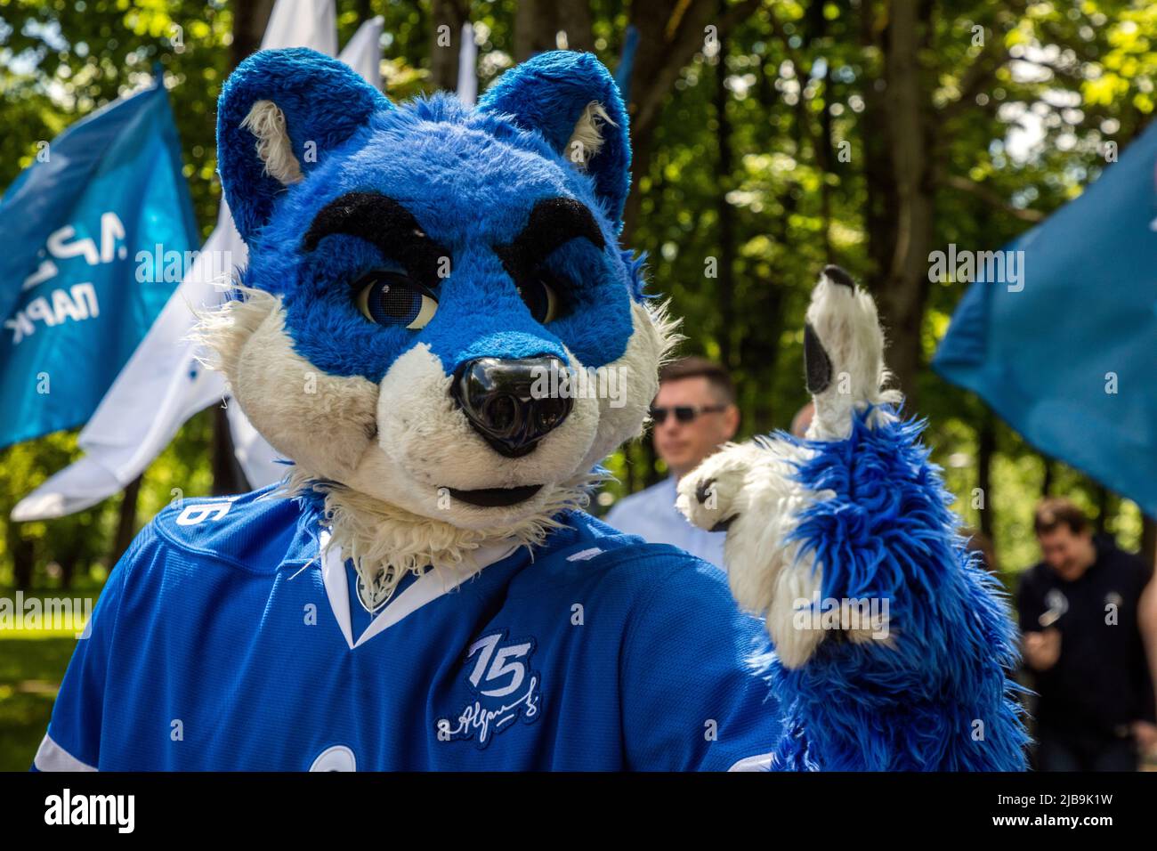 Moscow, Russia. 4th of June, 2022 The wolf is the official mascot of the Dynamo Moscow Hockey Club in the park near the Dynamo Stadium in Moscow, Russia Stock Photo