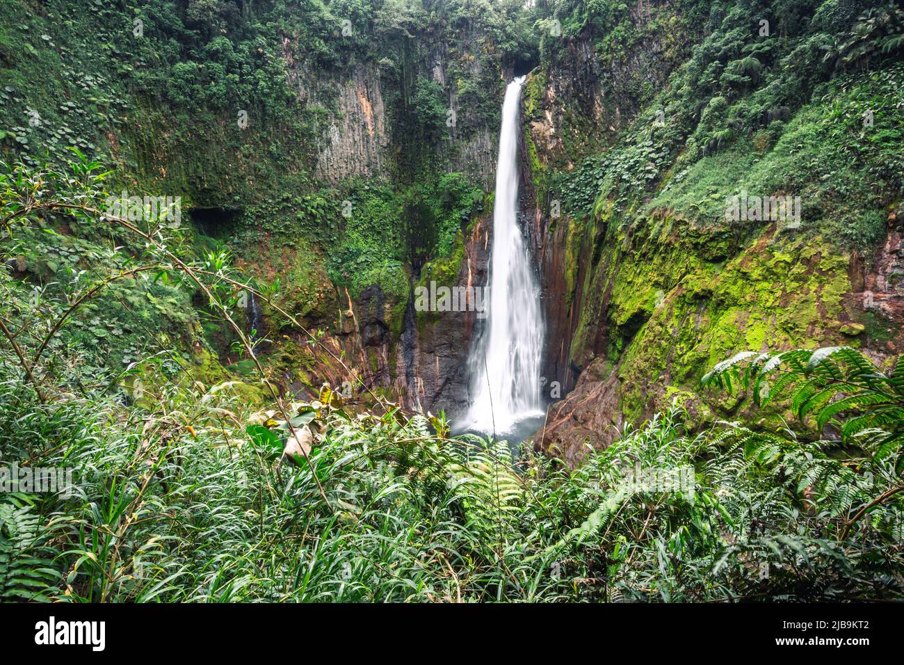 Catarata del Toro, wild waterfall in Costa Rica Stock Photo