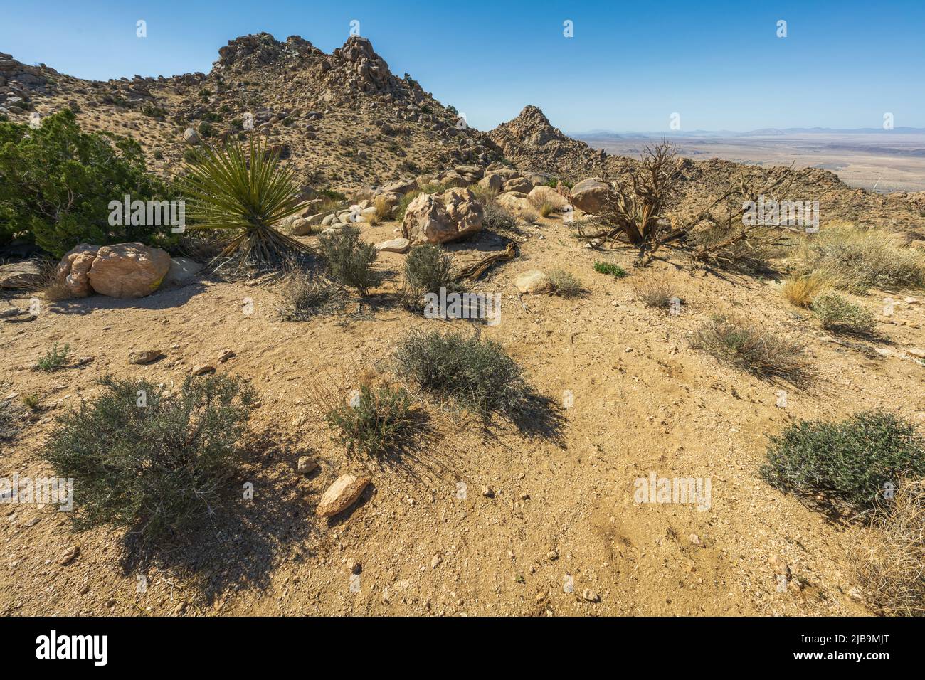 hiking the maze loop in joshua tree national park in california, usa