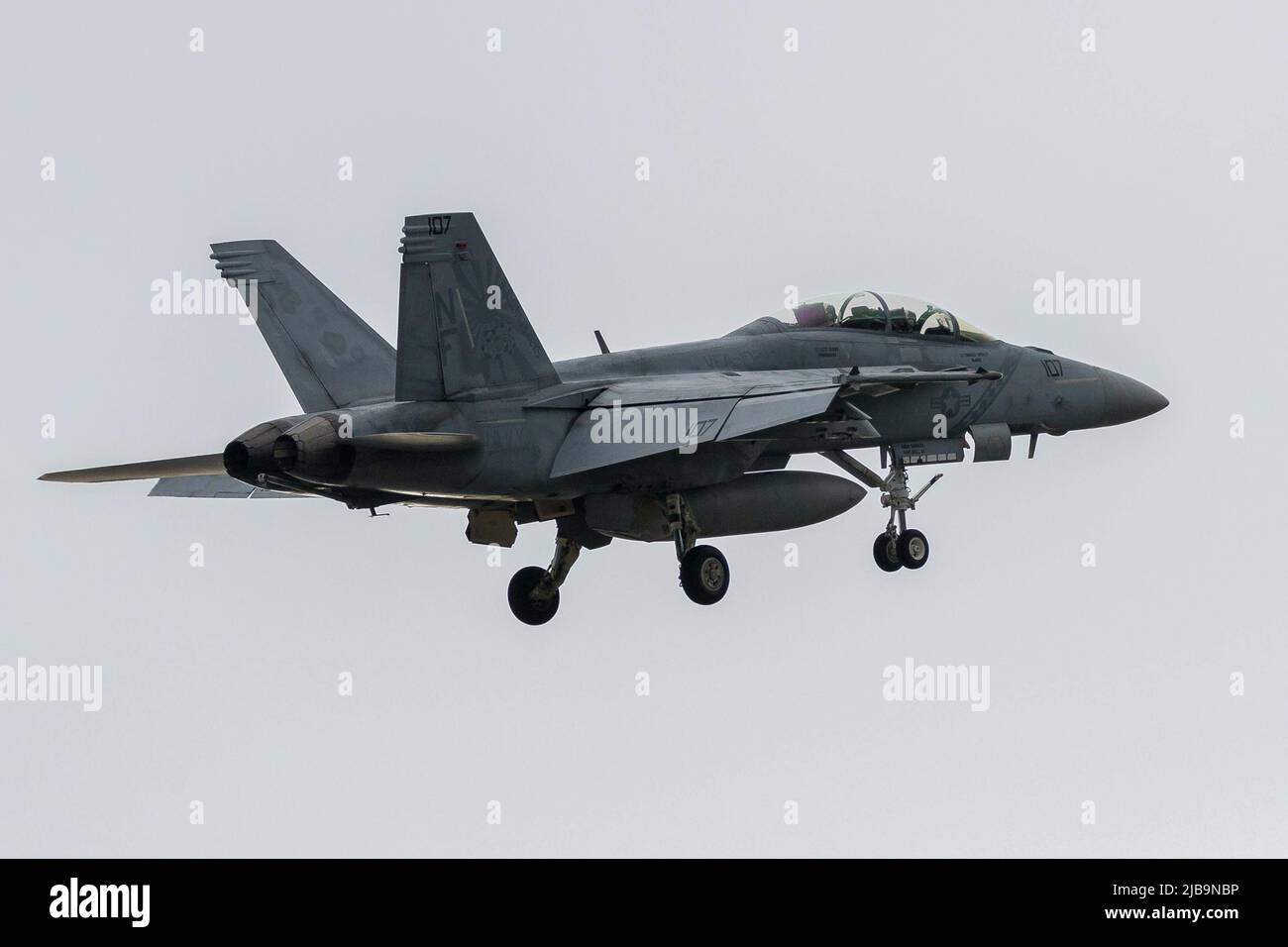 Yamato, Japan. 29th Jan, 2020. A McDonnell Douglas F/A-18F Super Hornet of Strike Fighter Squadron 102 (Diamondbacks), part of the Carrier Air Wing Five, landed at Naval Air Facility, Atsugi, near Yamato, Kanagawa. (Credit Image: © Damon Coulter/SOPA Images via ZUMA Press Wire) Stock Photo