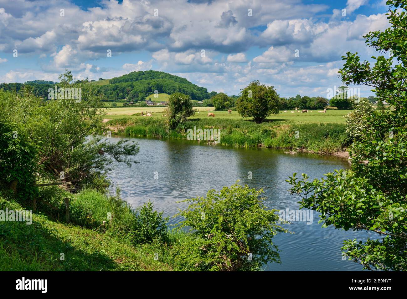 River Wye near Hampton Bishop, Herefordshire Stock Photo