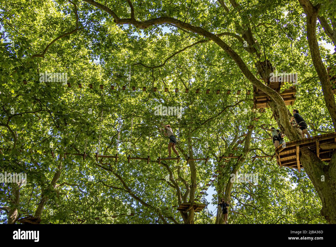 People high up in the trees using high ropes at the outdoor tree top adventure activity Go Ape at Battersea Park , London SW11, UK Stock Photo
