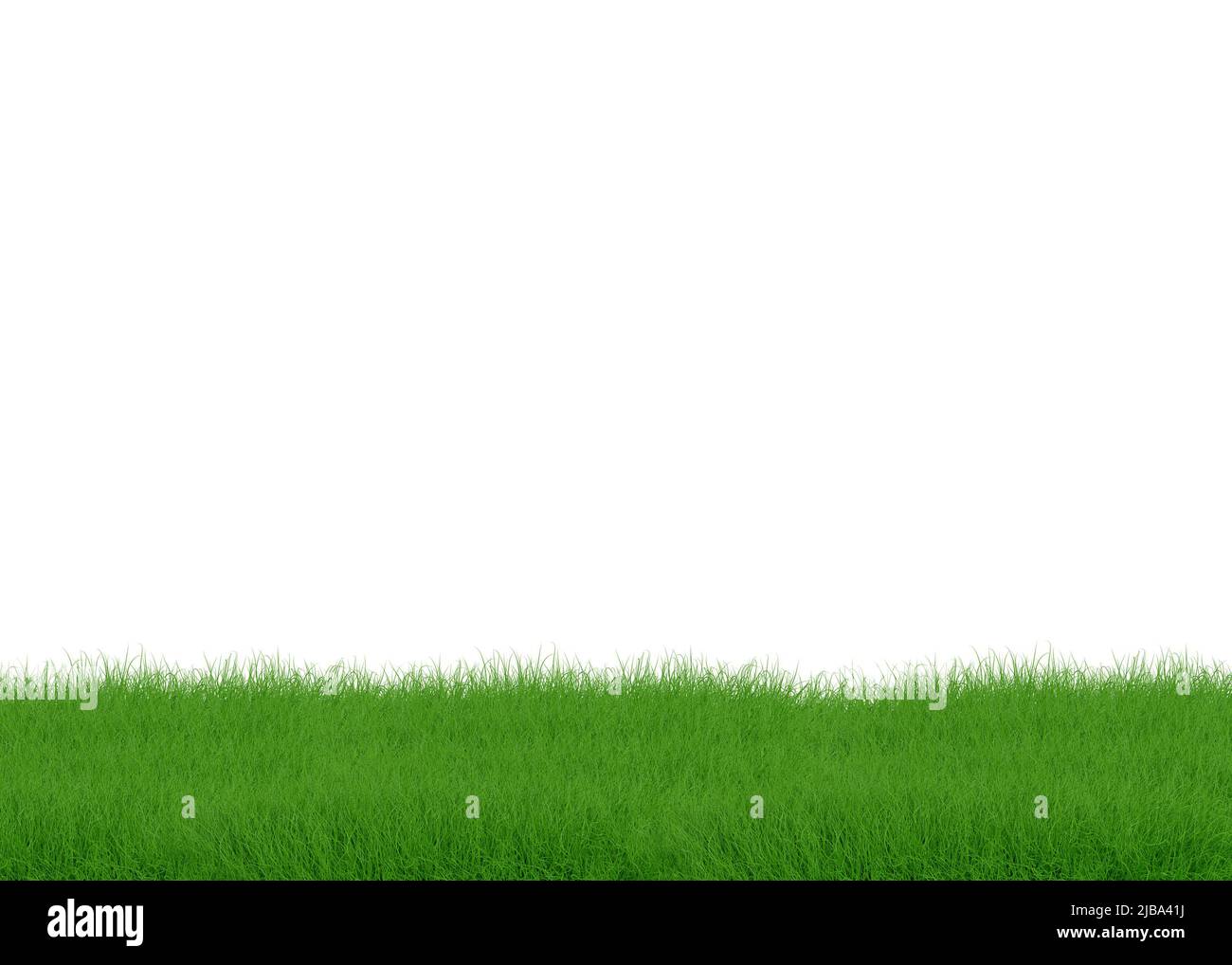 Grass isolated on white background Stock Photo - Alamy