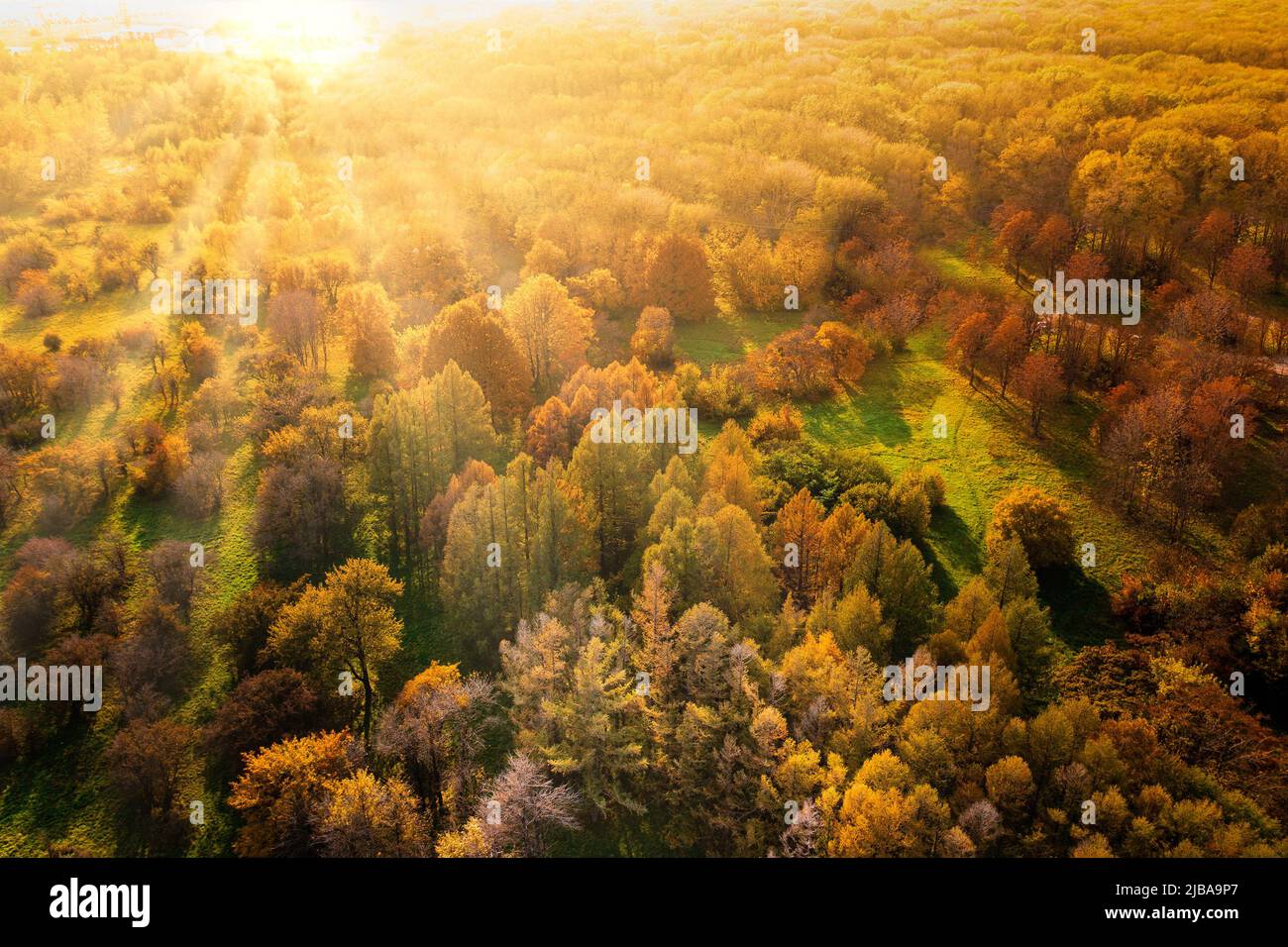 Sunset over the autumn forest. Long shadows. Drone view Stock Photo