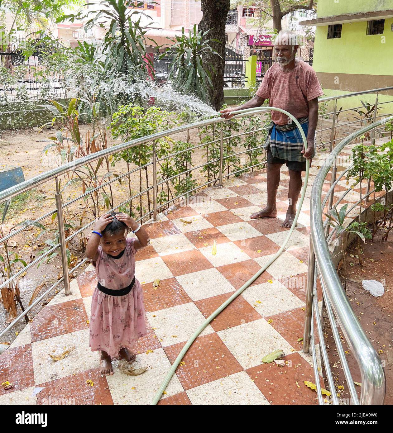 Chennai, India, 4th June 2022: A Gardner ( Grand father) Watering the plants in a park while his grand daughter enjoys the drizzle beating the severe heat in Chennai. Seshadri Sukumar Stock Photo