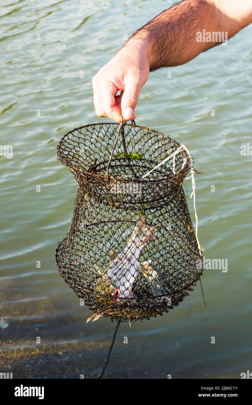 Wire fishing cage hi-res stock photography and images - Alamy