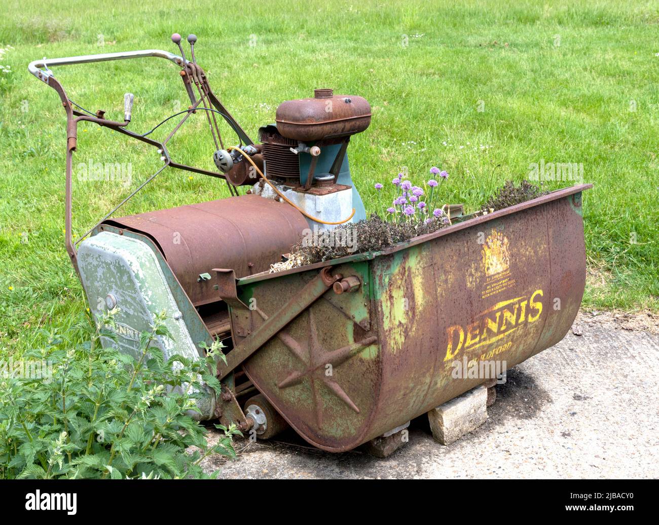 Cylinder mower hi-res stock photography and images - Alamy