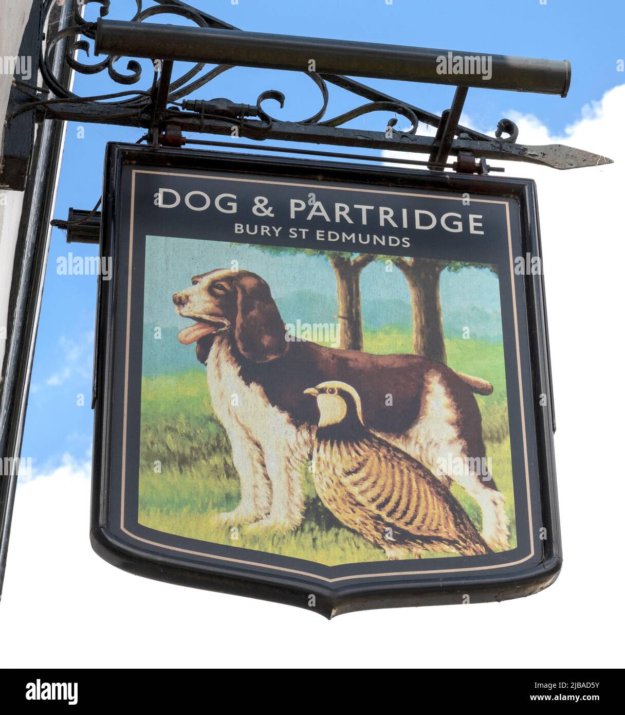Traditional hanging pub sign at the Dog and Partridge - a Greene King pub - Crown Street, Bury St Edmunds, Suffolk, England, UK Stock Photo