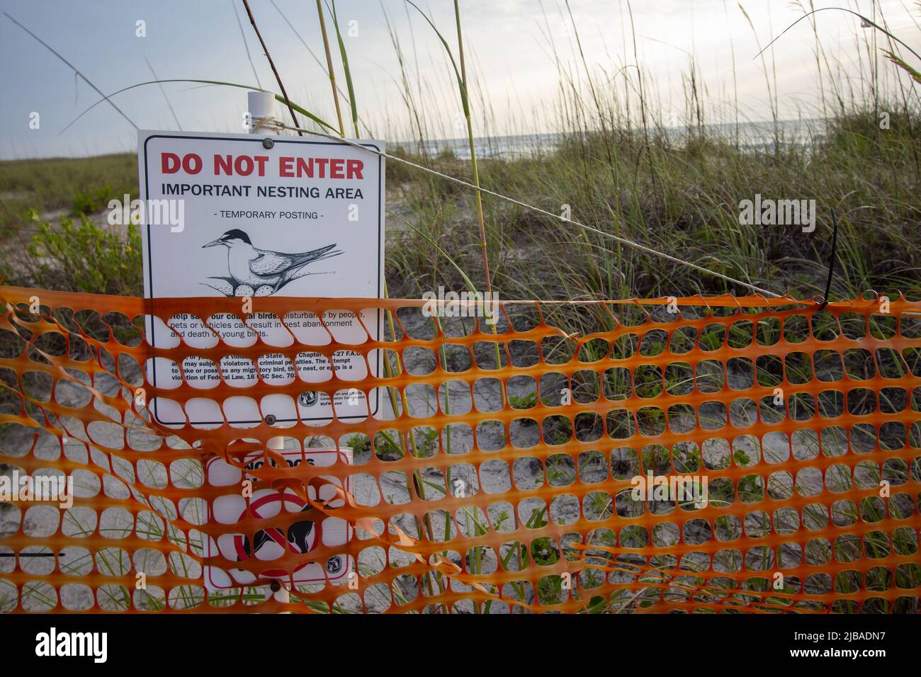 Nesting area warning sign on a Florida beach Stock Photo