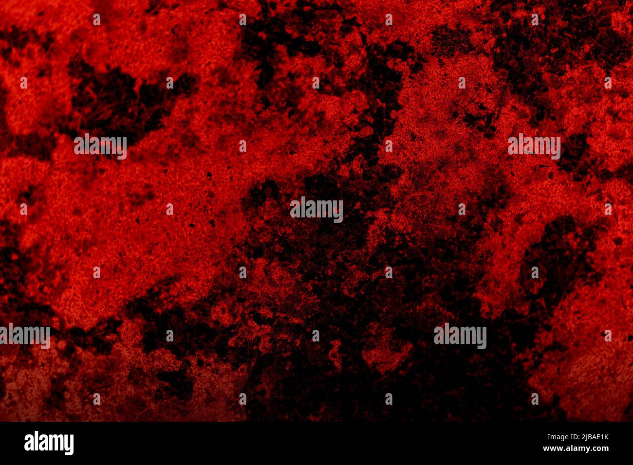 beautiful red abstract stone background. artistic  decorative banner with space for text Stock Photo