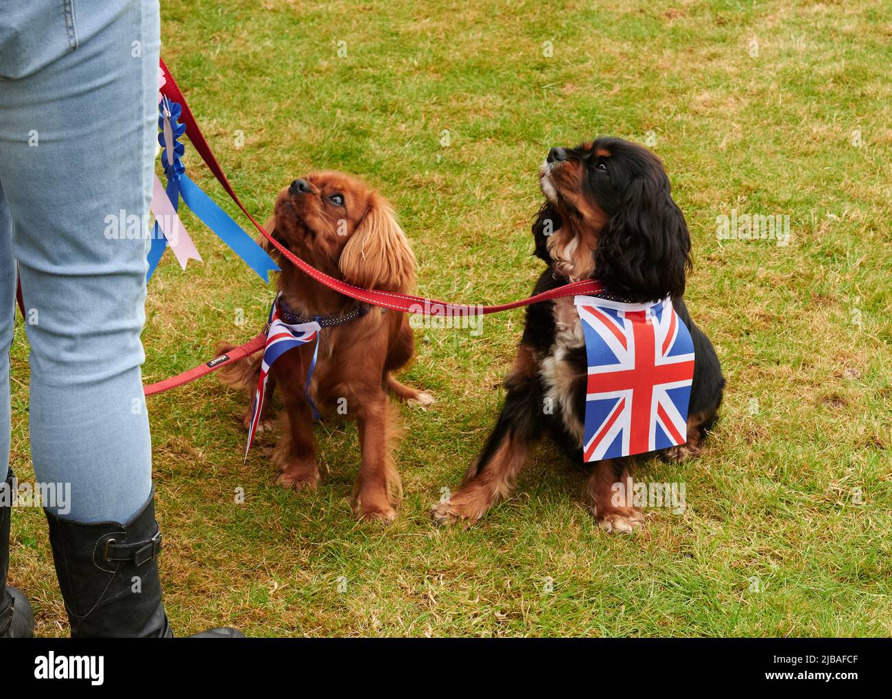 Bickington, Bickington, Newton Abbot, UK. 04th June, 2022. Platinum Jubilee: Bickington, Newton Abbot. Village Fair and Dog Show. Credit: Will Tudor/Alamy Live News Stock Photo