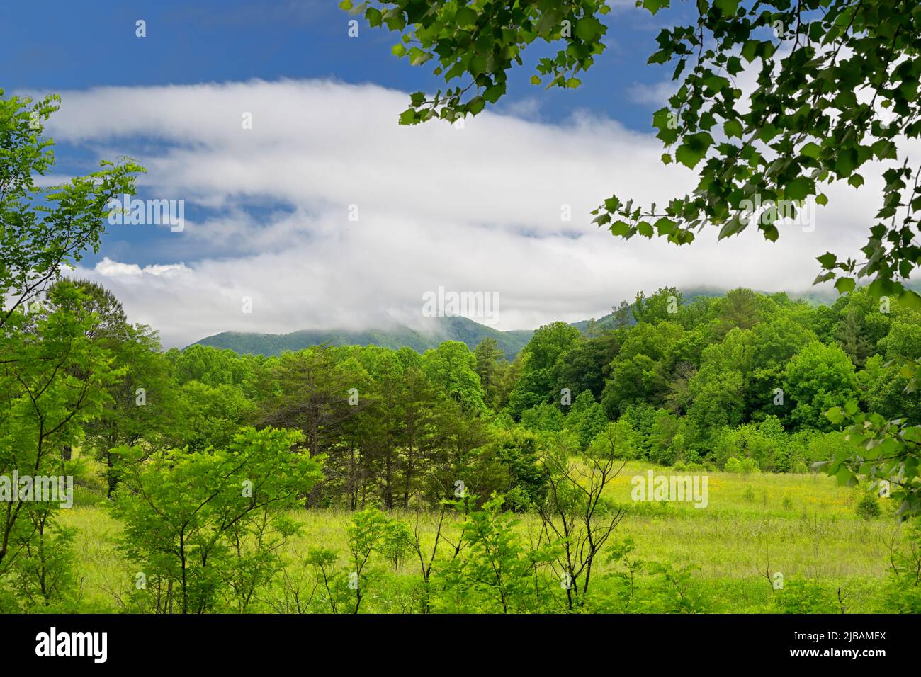 Cades Cove in Great Smoky Mountains, TN, USA in early springtime Stock ...