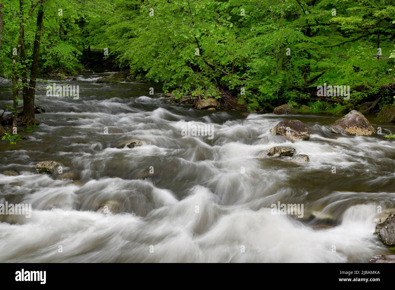 Cascades in the Middle prong of the Little Pigeon River in Great Smoky Mountains, TN, USA in early springtime Stock Photo