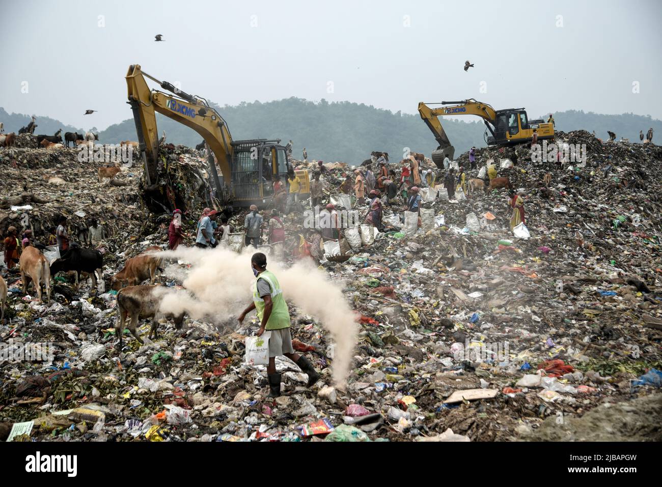 Municipality workers working with excavator as rag pickers searches for recyclable materials next to cows and birds at a garbage dumpsite, in Guwahati, Assam, India on 04 June 2022. World Environment Day 2022 is the biggest international day for the environment. Led by the United Nations Environment Programme (UNEP) on 05 June every year. Credit: David Talukdar/Alamy Live News Stock Photo