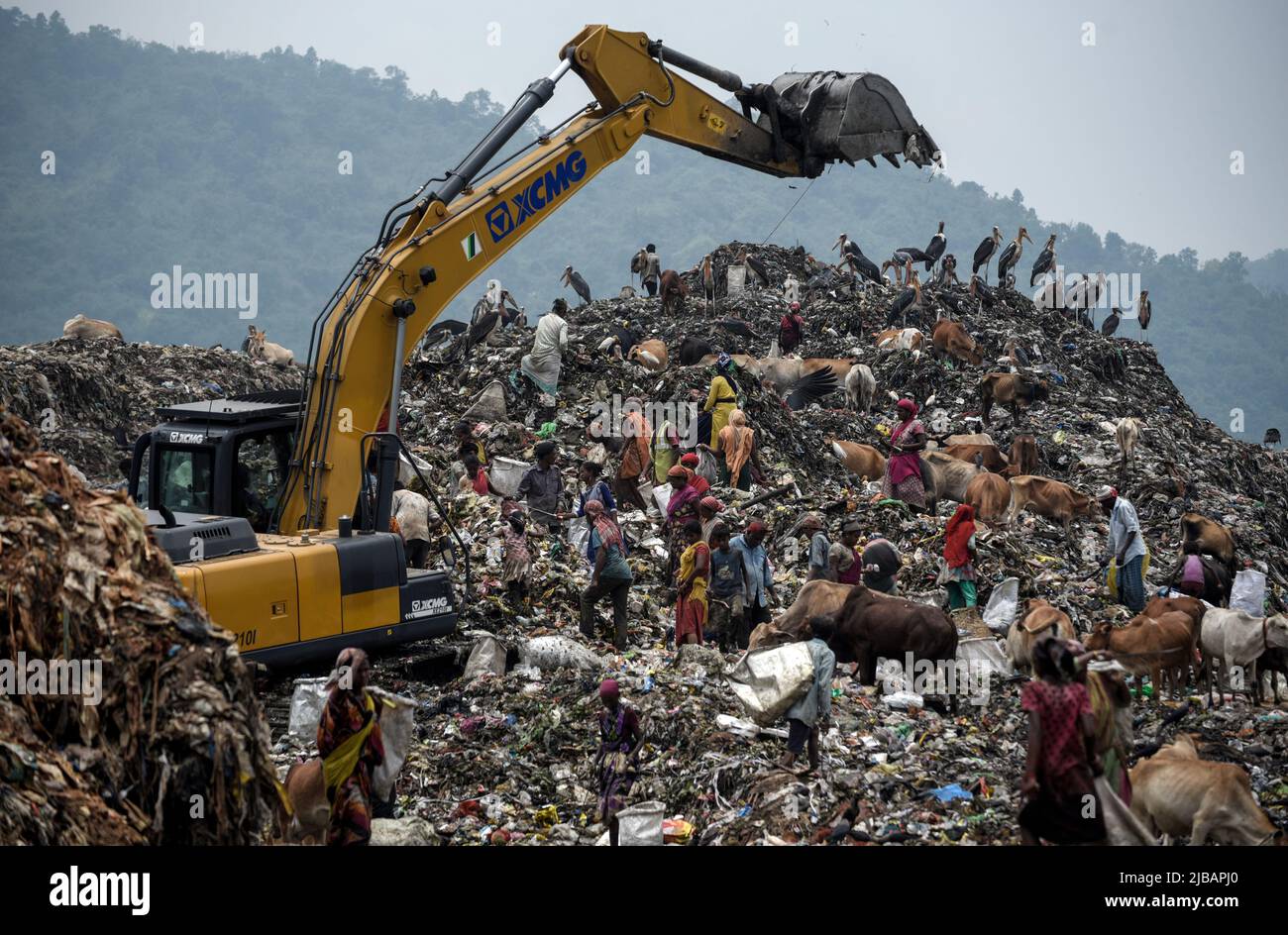 Municipality workers working with excavator as rag pickers searches for recyclable materials next to cows and birds at a garbage dumpsite, in Guwahati, Assam, India on 04 June 2022. World Environment Day 2022 is the biggest international day for the environment. Led by the United Nations Environment Programme (UNEP) on 05 June every year. Credit: David Talukdar/Alamy Live News Stock Photo
