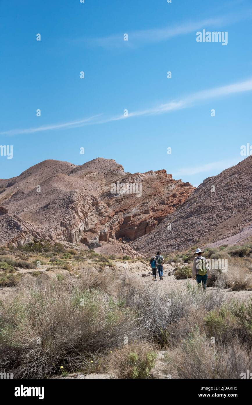 A family hikes Hagen Canyon Nature Trail in California's Red Rock Canyon State Park through beautiful desert landscape and brush. Stock Photo