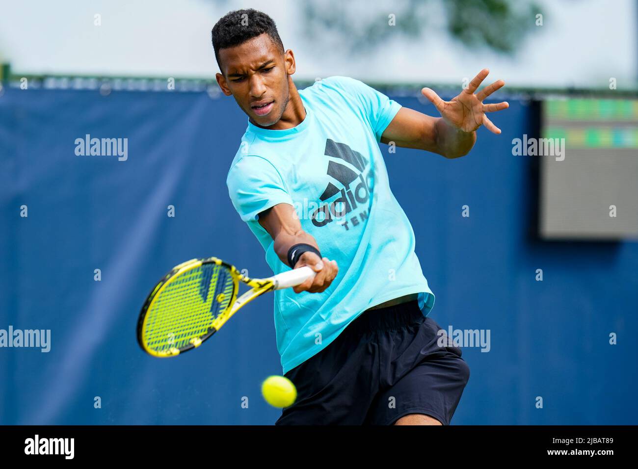 Rosmalen Grass Court Championships prntbl concejomunicipaldechinu gov co Rosmalen Grass Court Championships prntbl concejomunicipaldechinu gov co