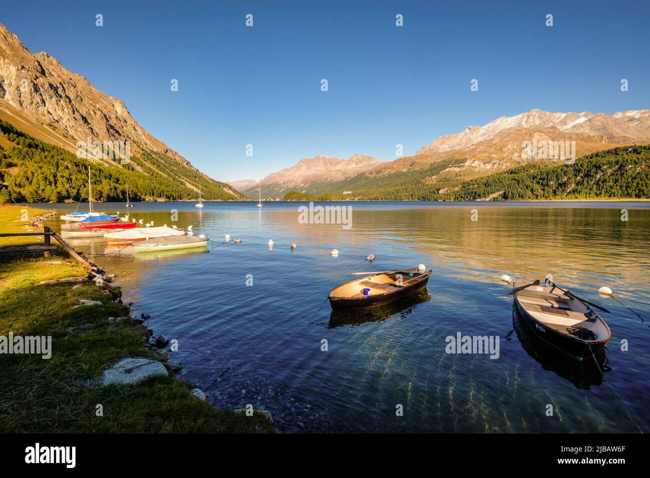September sun is setting at gorgeous Plaun da Lej, a famous Swiss bay at Lake Sils (Silsersee), in the Upper Engadine Valley (Grisons, Switzerland). Stock Photo