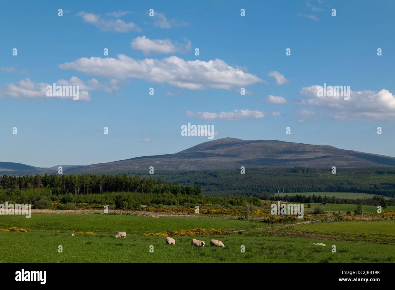 Ben rinnes view hi-res stock photography and images - Alamy