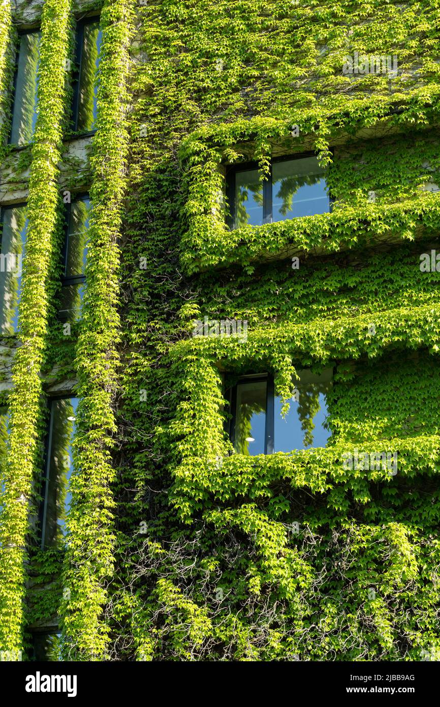 Facade vegetation hires stock photography and images Alamy