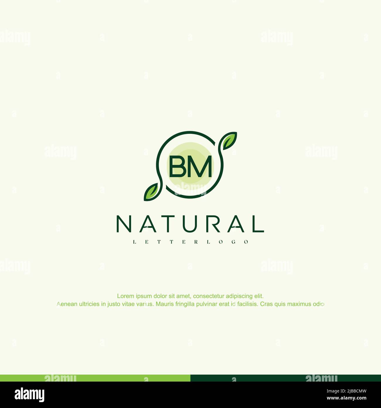 BM Initial natural logo template vector Stock Vector