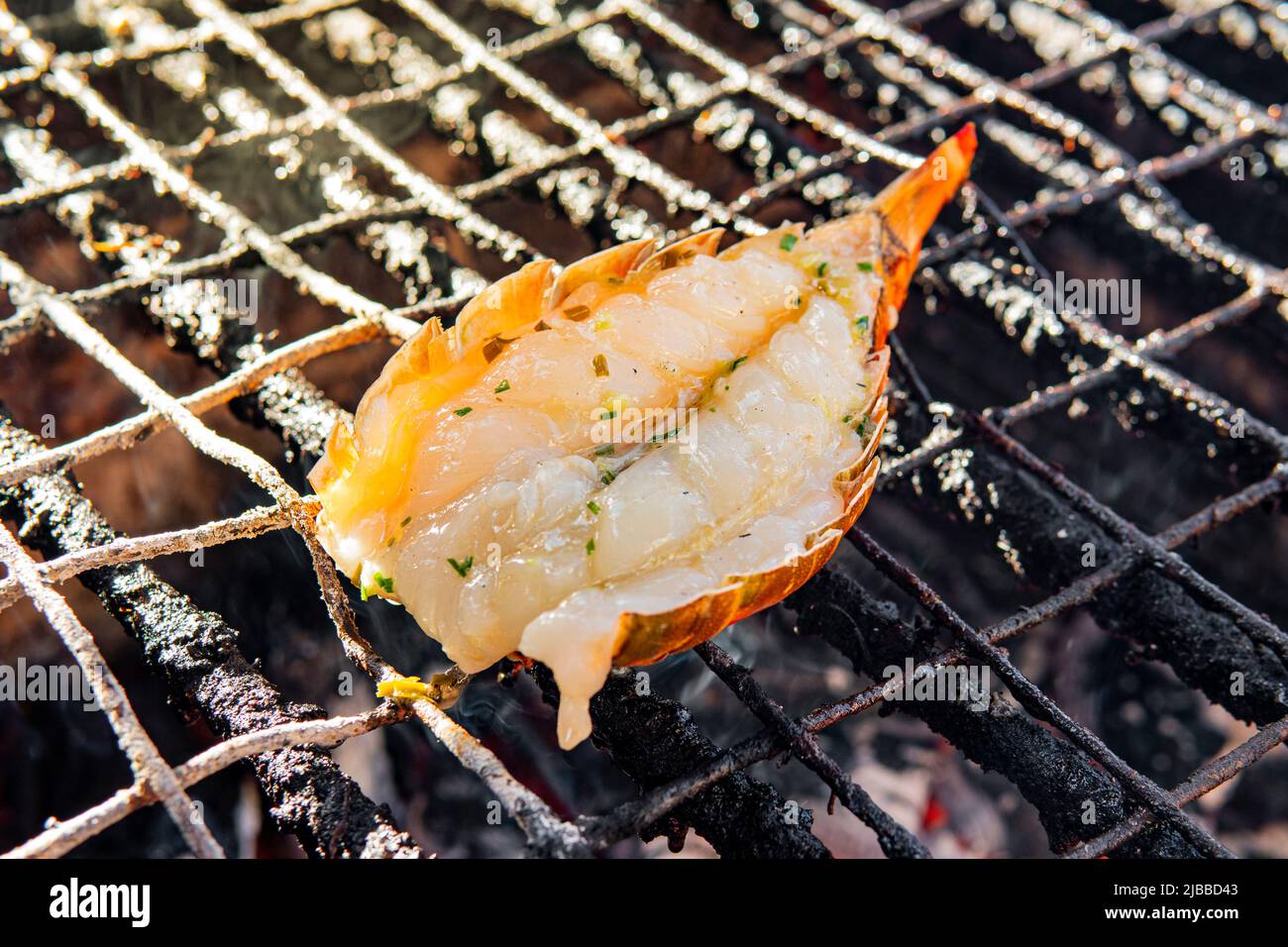 Giant grilled lobster cook on charcoal stove at Thai street food. Lobster fried on a grill on