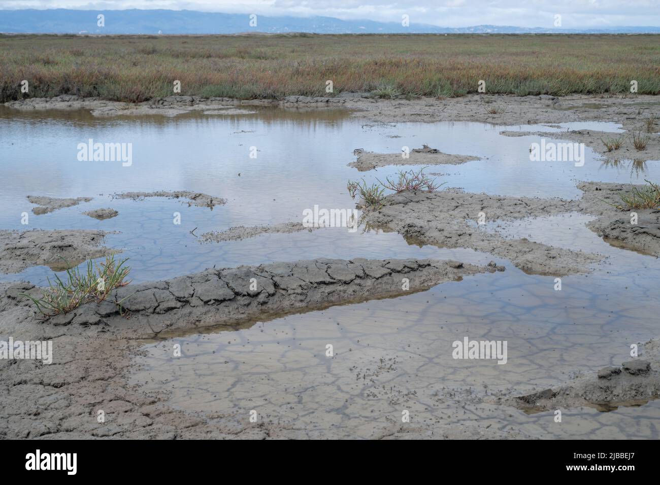 Cracked mud submerged hi-res stock photography and images - Alamy