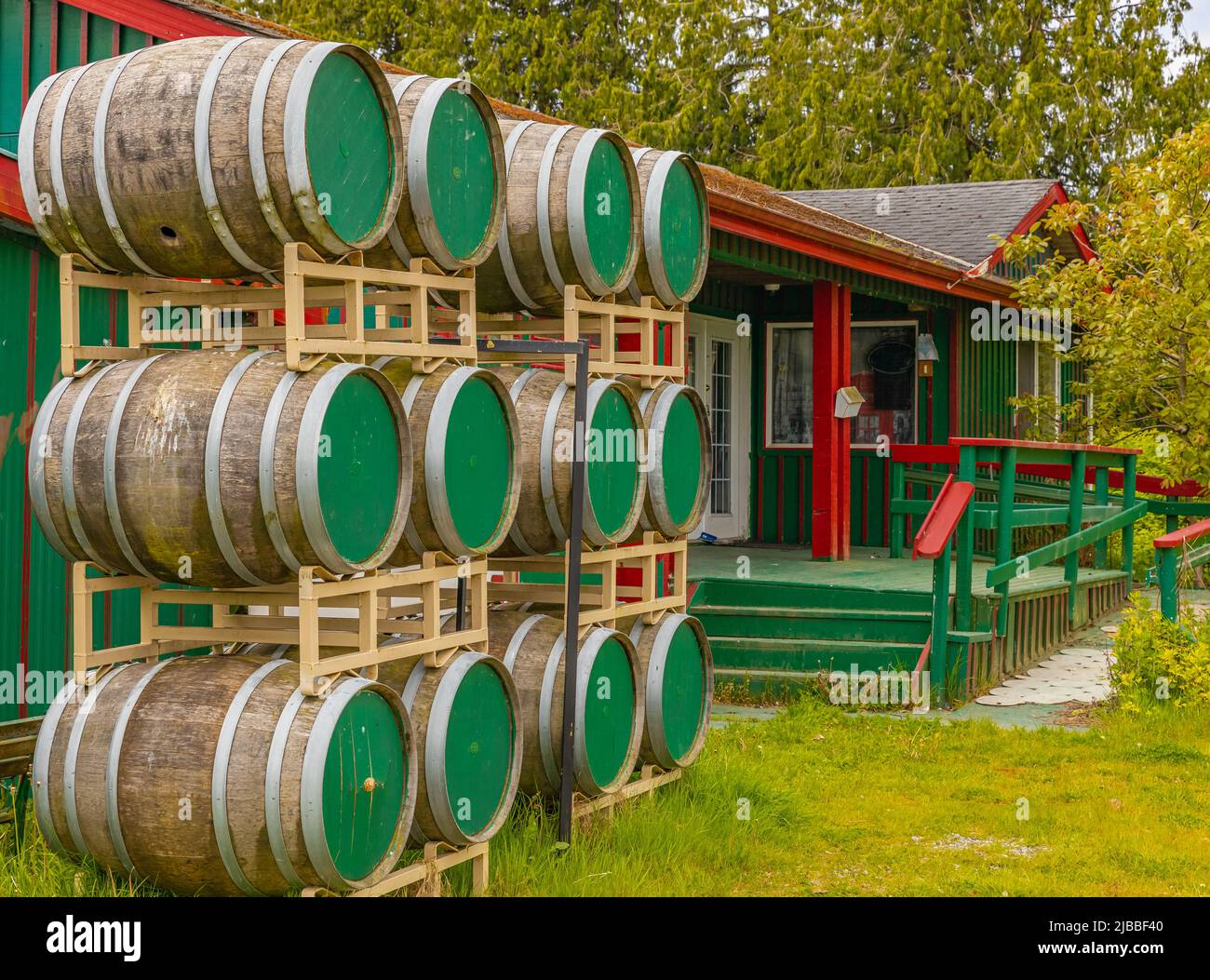 Wooden barrels outdoor on a winery yard. Wine Barrel outside. Street