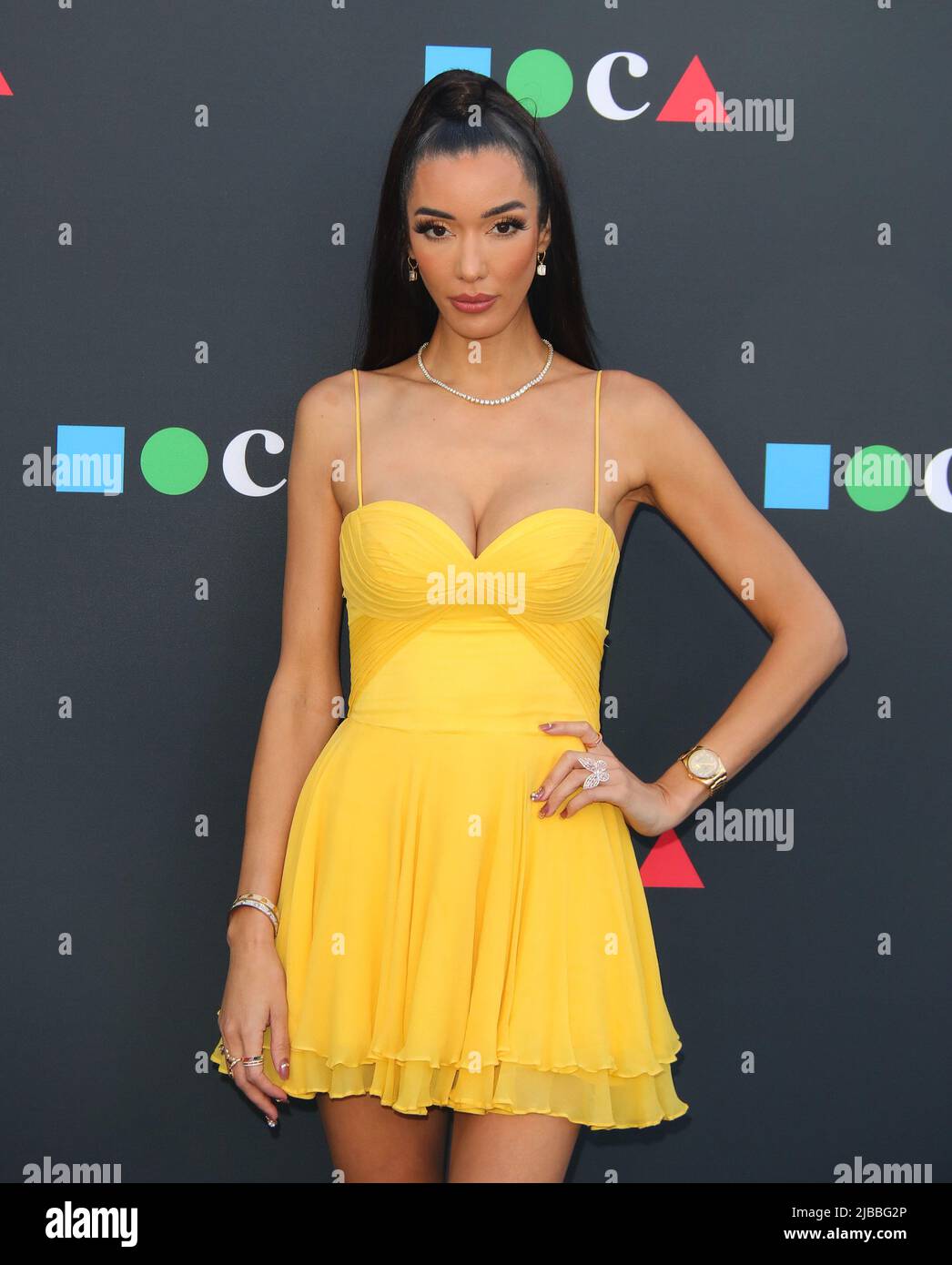 Noella Bergener arrives at The MOCA Gala 2022 held at The Geffen